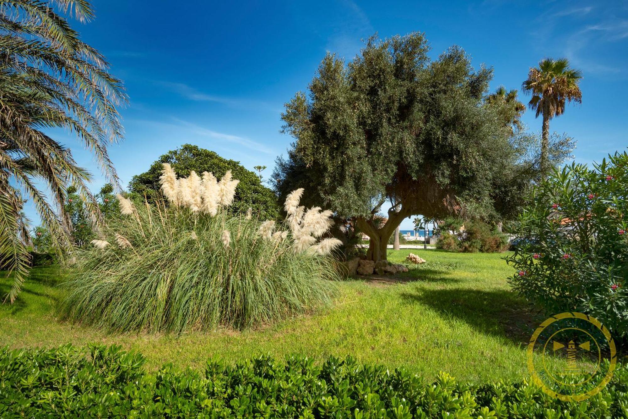 Lighthouse Dunamar La Mata (Torrevieja) Exterior foto